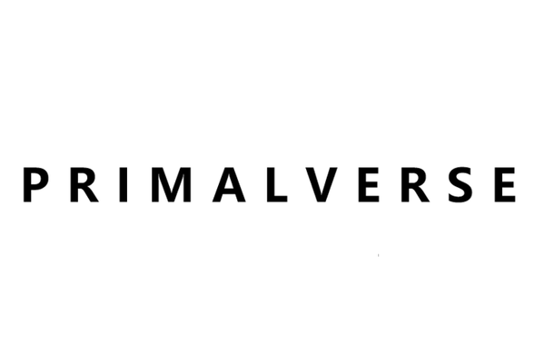 PrimalVerse 数亿元种子轮,主攻 4D 世界模型